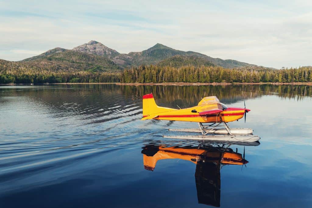 Some Victoria whale watching tours also give you a tour of the surrounding landscapes via seaplane