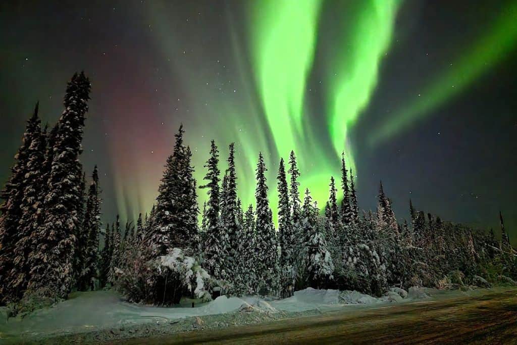 More chances to see northern lights in Alberta on the way