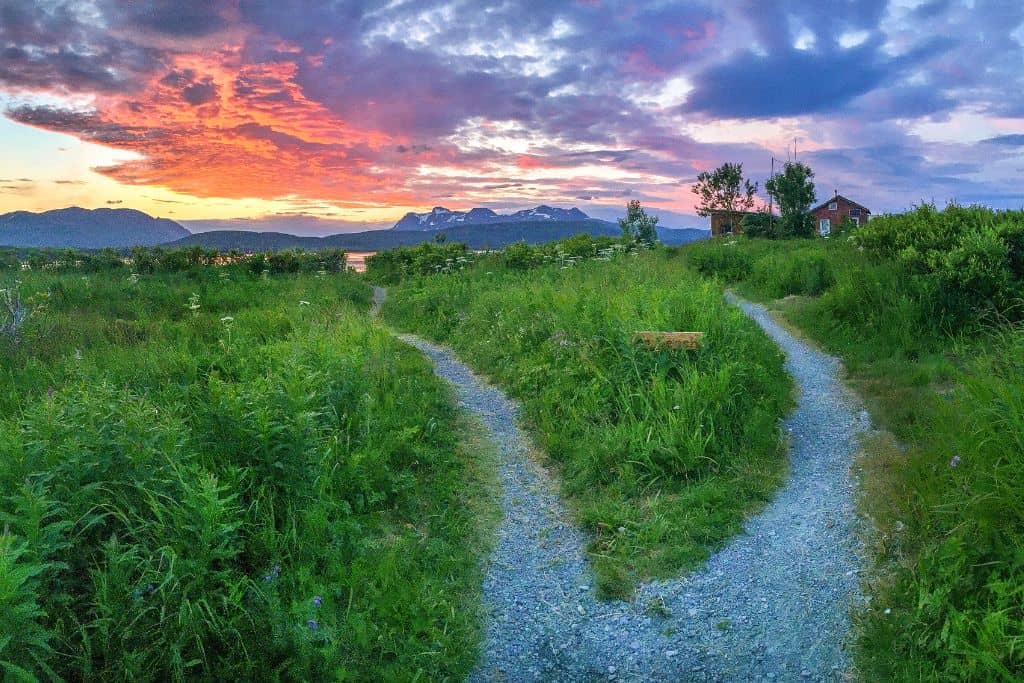 Gravel trail in the shape of a "V" with tall grass on either side under a vibrant sunset