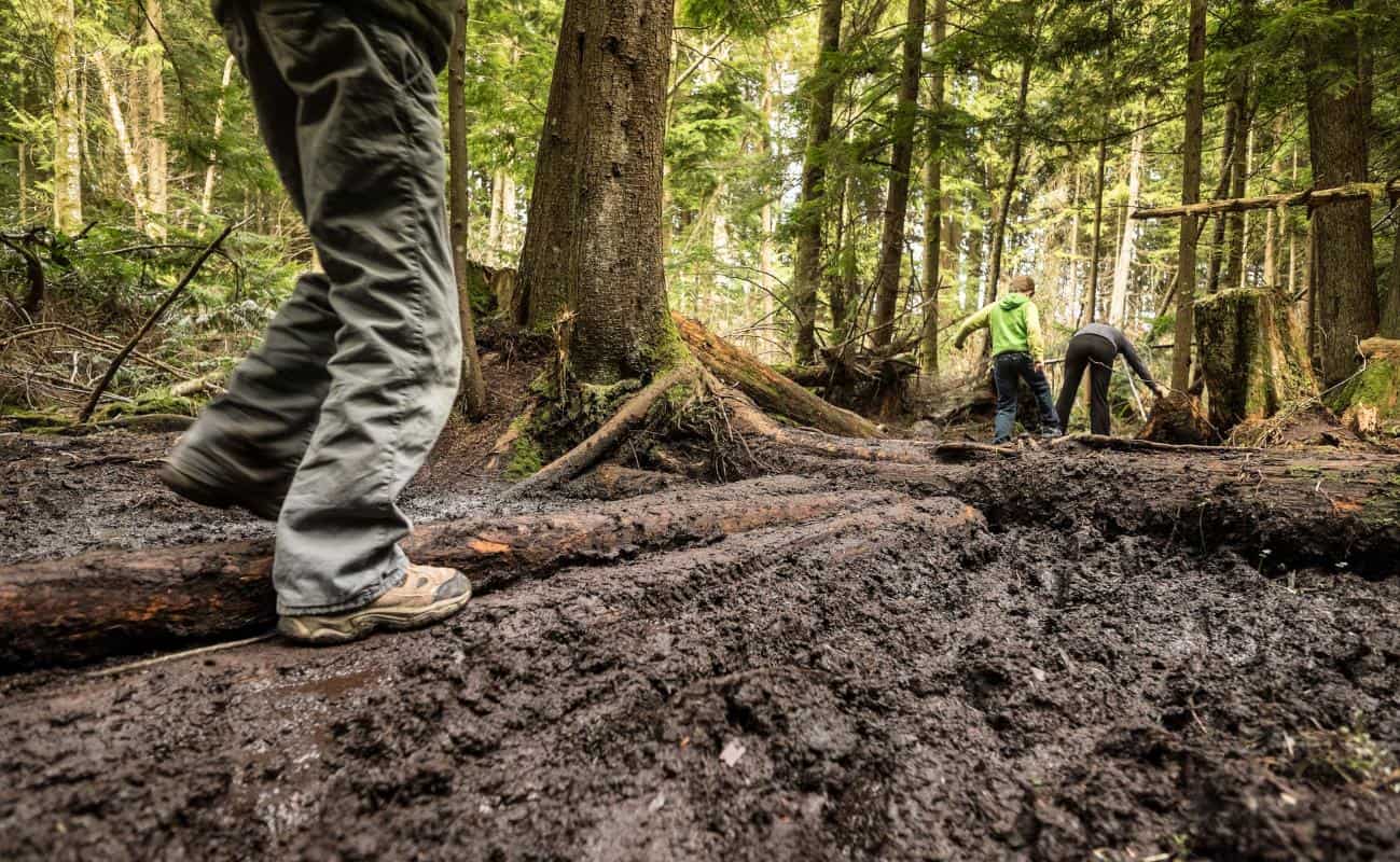People walking on logs covering a very muddy trail in the woods