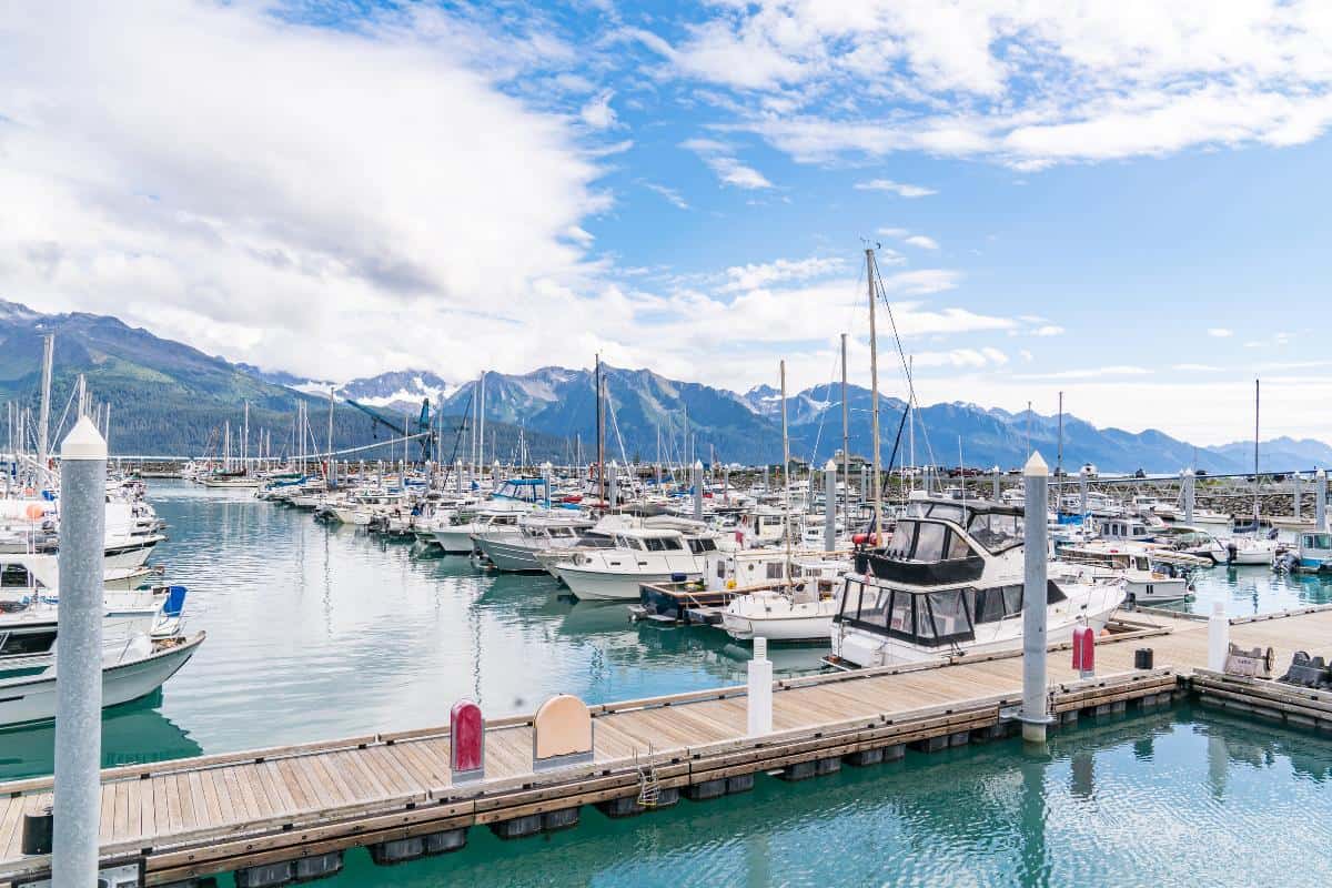 Large harbor filled with small boats and wooden boardwalk