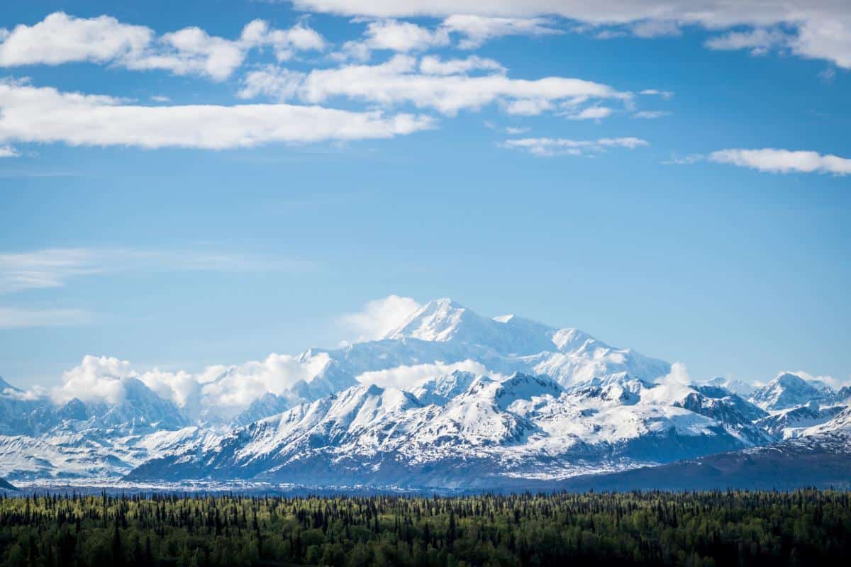 Massive, snow-covered Mount Denali surrounded by pine trees on a cloudy day