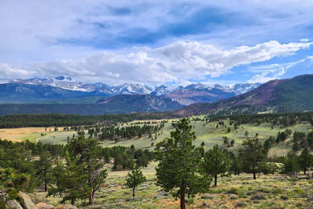 Landscape of a valley with pine trees and snowy mountains in the background