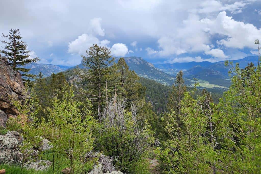Landscape photo of mountains and trees