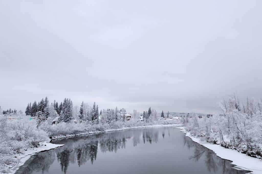 Black river surrounded by snowy trees and a gray sky