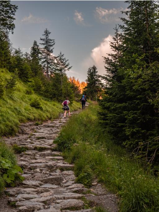 Two hikers going up a rocky trail surrounded by trees at sunset