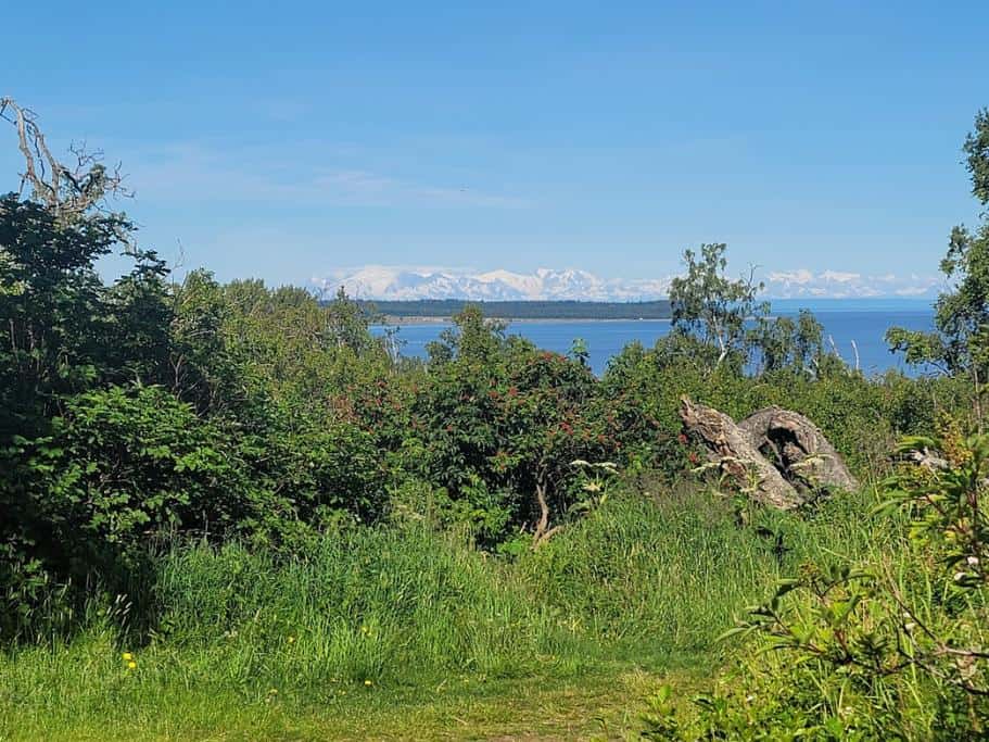 Mountain views from Kincaid Park in Anchorage