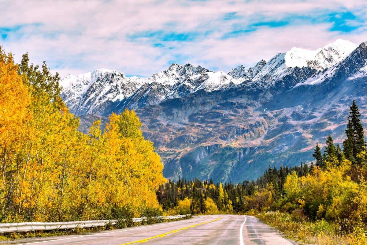 Road surrounded by orange and yellow foliage with distant snowy mountains