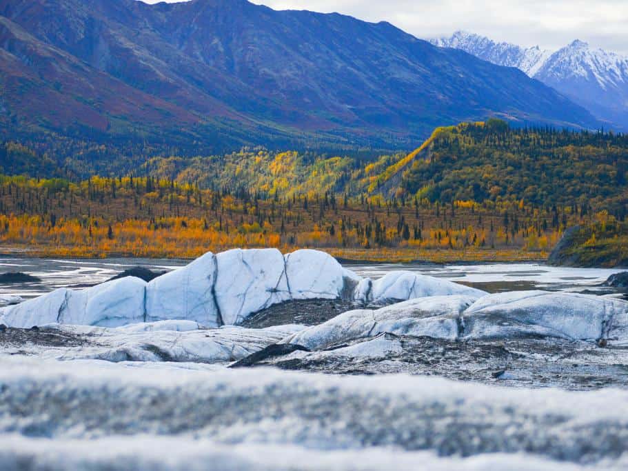 Orange and yellow foliage in mountains against a white and icy blue glacier