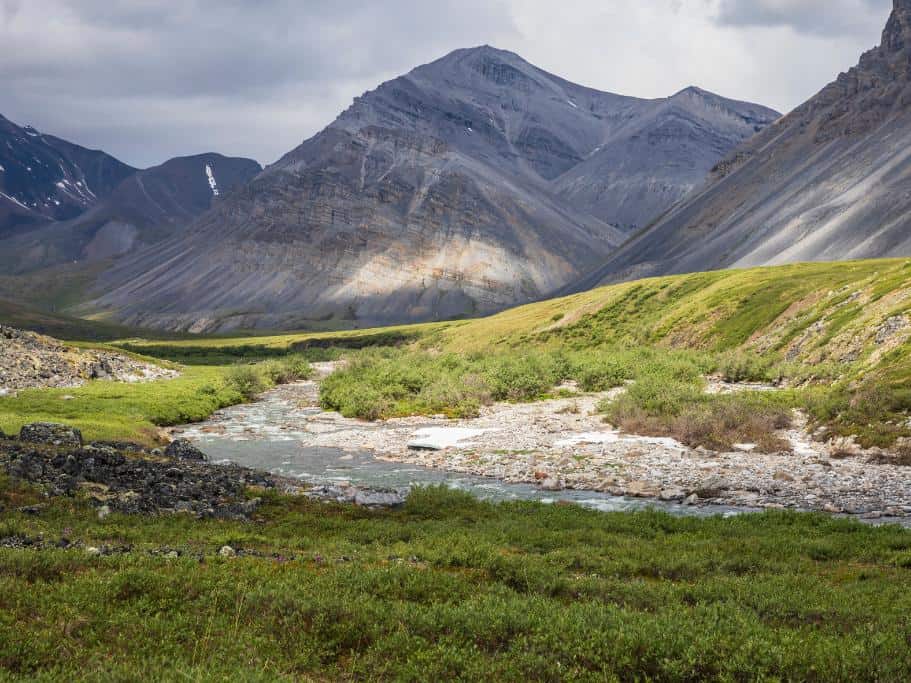 Green grass surrounding a river and grey mountains