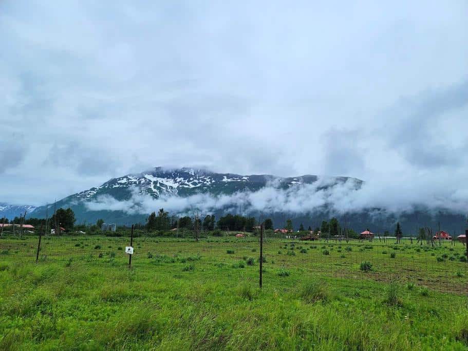 A green field, black fence, and cloud-covered mountains