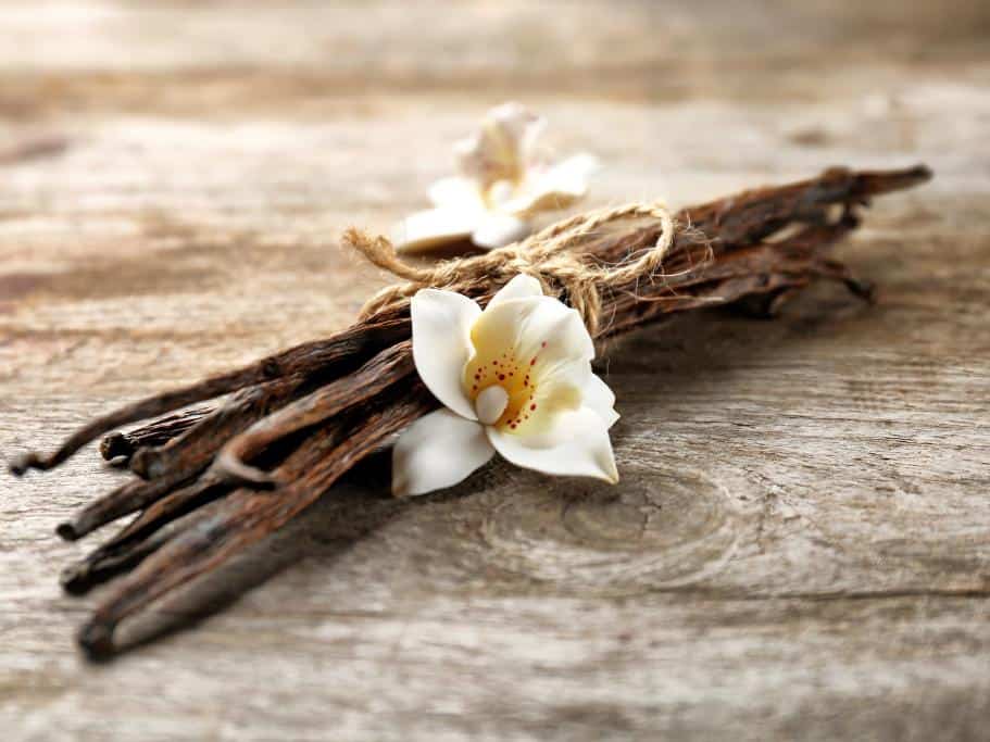 Small bundle of vanilla beans with a white flower