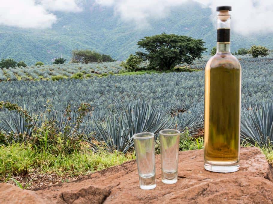 tequila is one of the most popular Cancun souvenirs tourists bring home