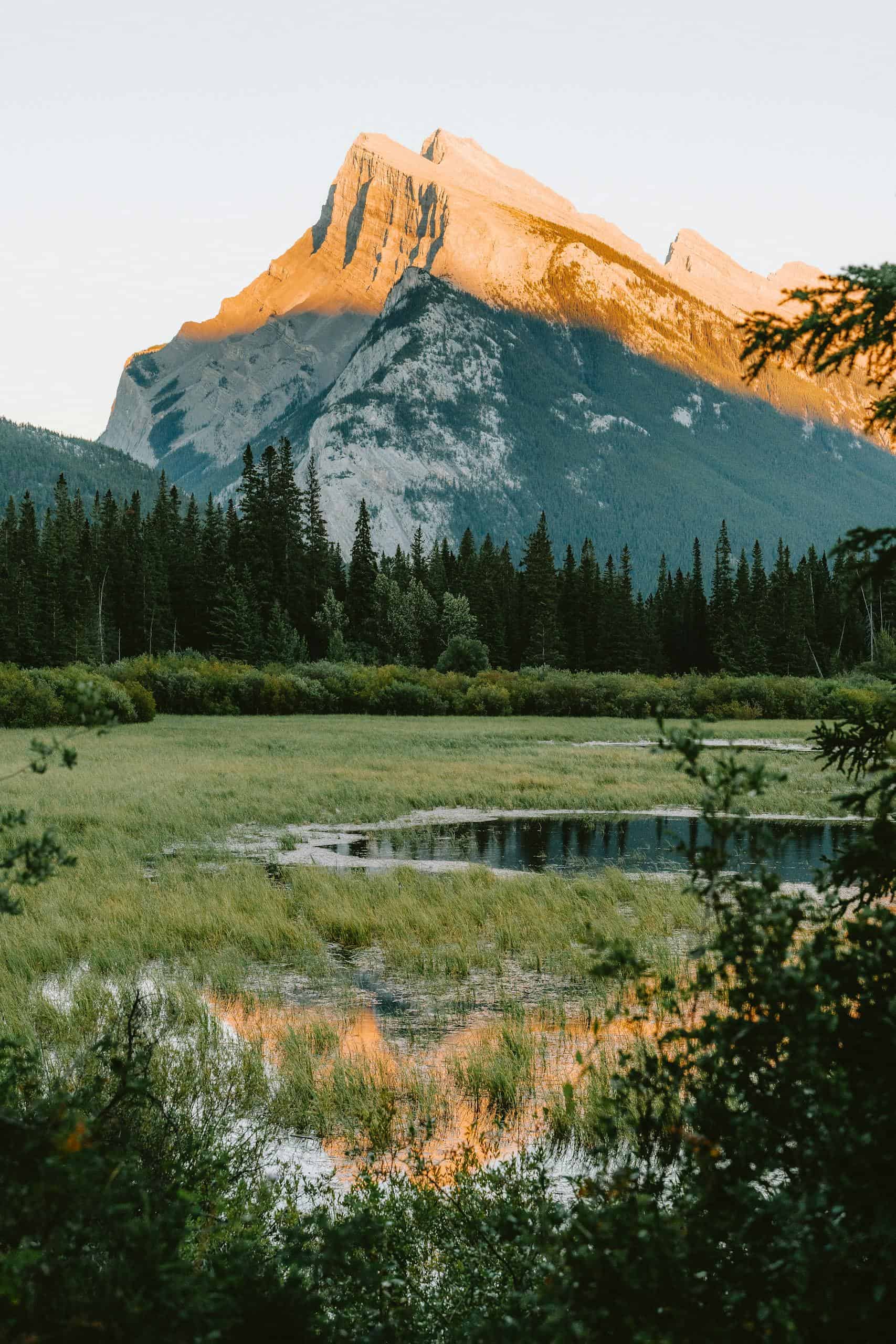 Capture of Mount Rundle reflecting on a marsh in Banff National Park at sunset.