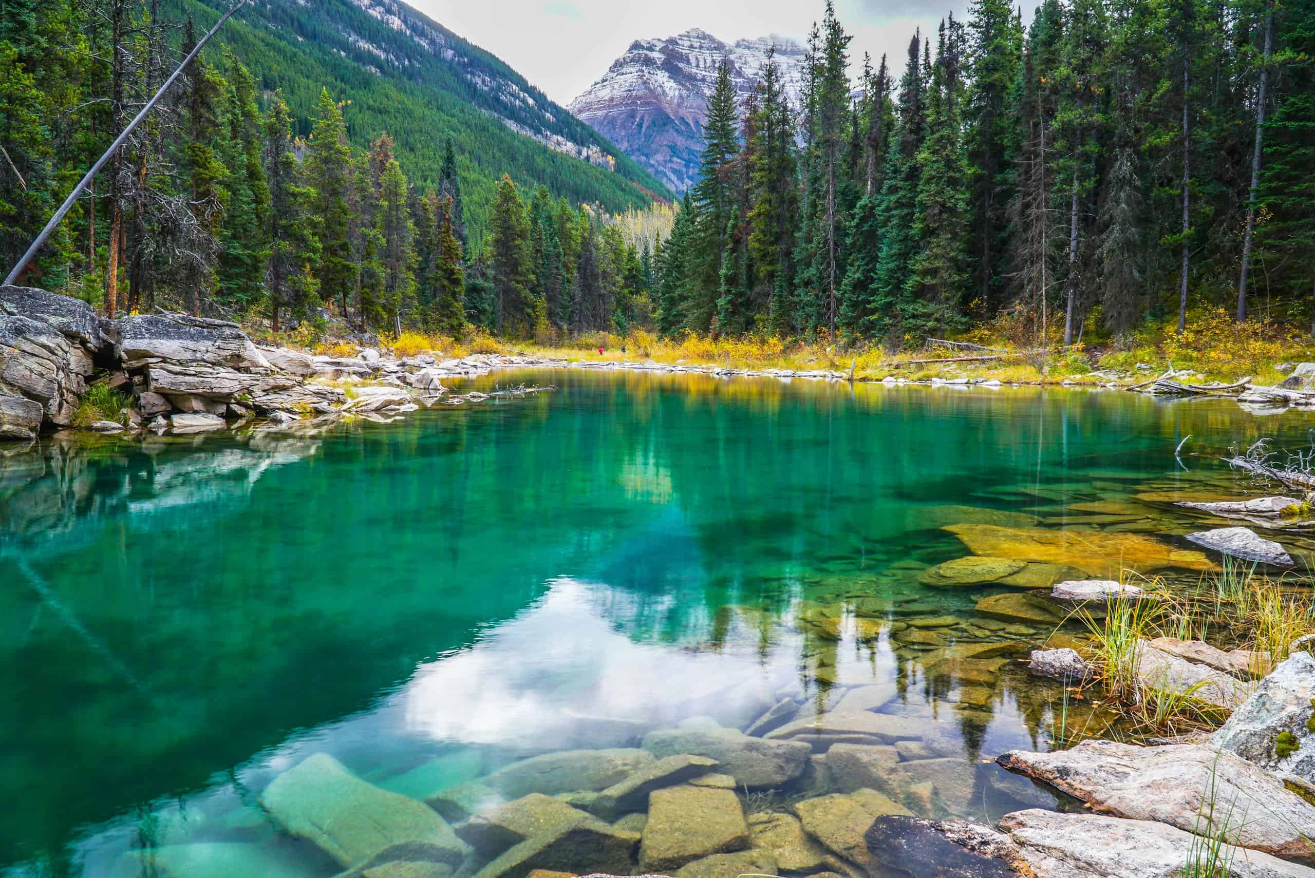 Stunning view of Horseshoe Lake with emerald waters and mountain reflection in Jasper National Park.