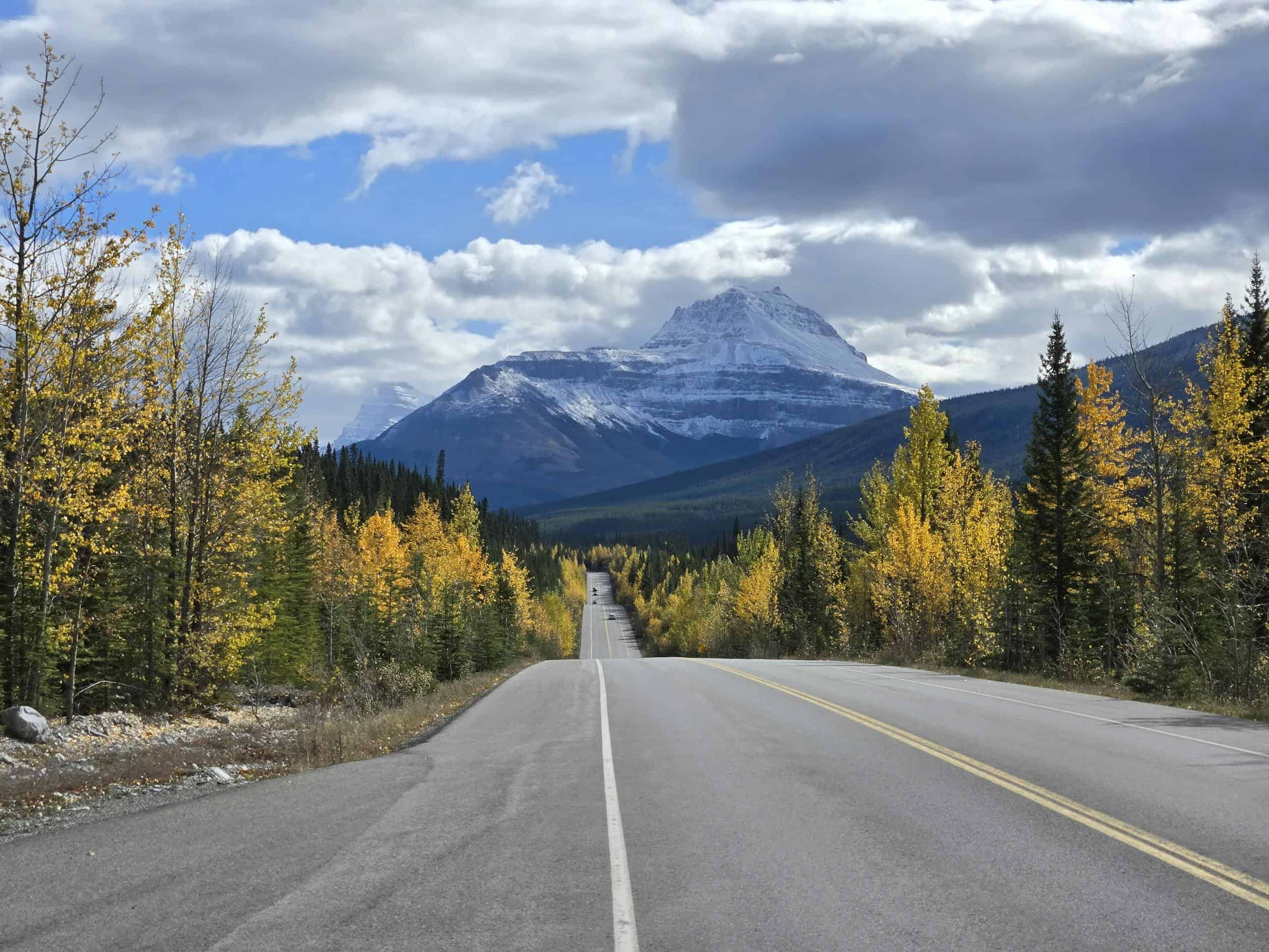 Breathtaking view of a mountain road surrounded by autumn foliage and snow-capped peaks.